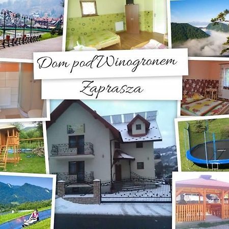 Dom Pod Winogronem Lägenhet Szczawnica Exteriör bild